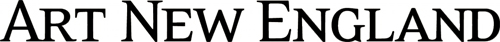 ANE black logo