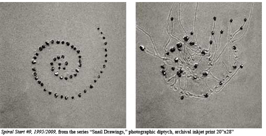 Spiral Start #9, 1995/2009, from the series “Snail Drawings,” photographic diptych, archival inkjet print 20”x28”