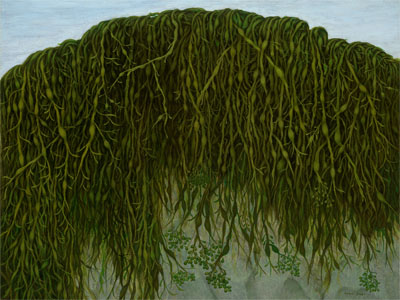 BG Seaweed
