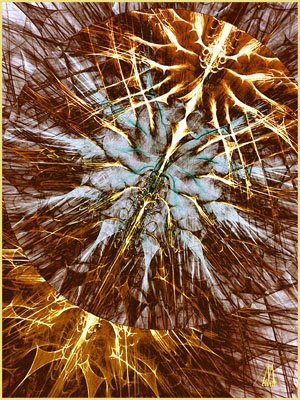 Synapse Melvin Harris 2011
