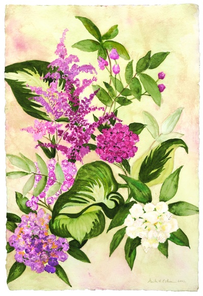 Cohen HostaWithMountainLaurel