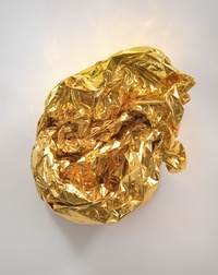 FeherCOVER