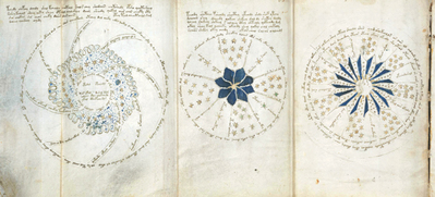 Voynich Manuscript 124