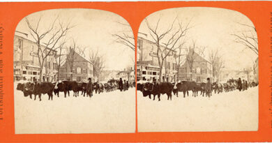 Davis Brothers, Oxen on Pleasant Street, c. 1867. Courtesy of the Portsmouth Athenaeum. At 3S Artspace.