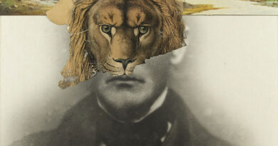 Varujan Boghosian, Self-Portrait as a Lion, 2006, Framed Collage. At Armenian Museum of America.