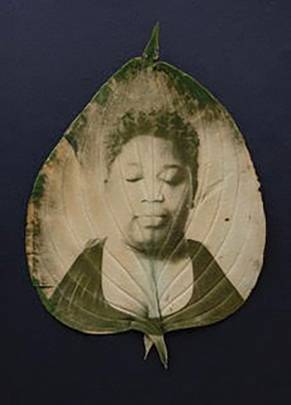 Ann Steuernagel, Quiescence, 2024, photo. At The Gallery at WREN.