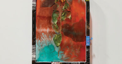 Lydia Kern, Double Sorrow Double Joy, 2023, mixed media. At Burlington City Arts.