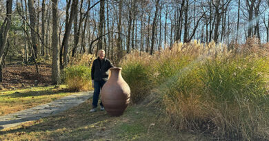 Steve Procter Ceramicist, Studio Visit